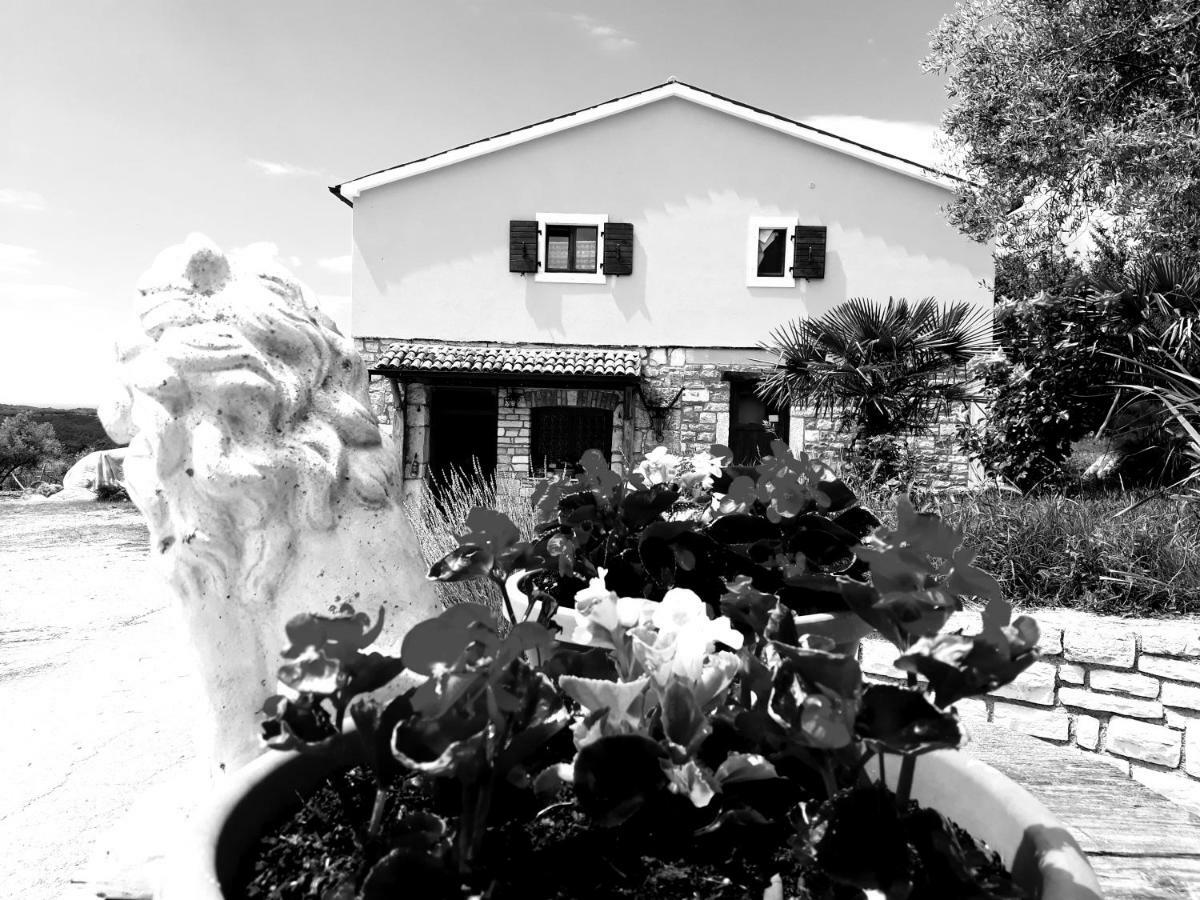 Rooms Agroturizam Romano Buje Exterior foto